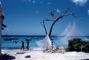 Caribbean Through a Lens | Blacknet UK