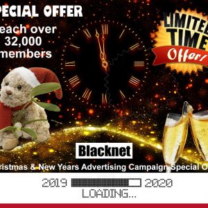 Christmas & New Year Advertising Campaign Package